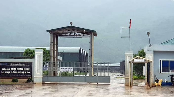 Trang trại chăn nuôi bò của Công ty Hòa Phát Quảng Bình.