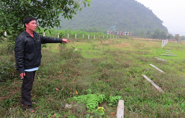  Ông Phạm Khắc Ngạc bên các cộc bê tông bị nhổ tại khu đất mà vợ chồng ông đã được cấp GCNQSDĐ.