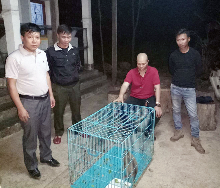 Cán bộ Trung tâm Cứu hộ, bảo tồn và phát triển sinh vật tiếp nhận cá thể khỉ đuôi lợn để chăm sóc cứu hộ.