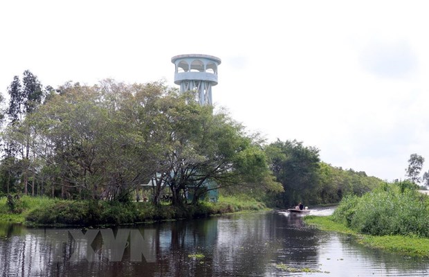 Ngan chan suy giam va suy thoai da dang sinh hoc o Viet Nam hinh anh 2Vọng lâm đài phục vụ du khách ngắm rừng Vườn Quốc gia U Minh Thượng (Kiên Giang). (Ảnh: Lê Huy Hải/TTXVN)