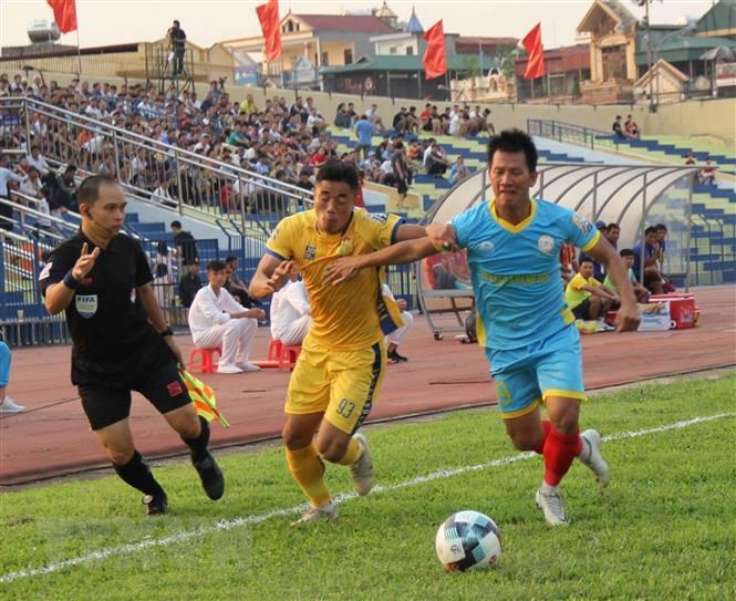 (Ảnh minh họa: Trịnh Duy Hưng/TTXVN)