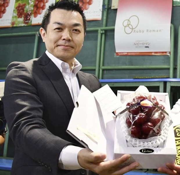 Ông Takashi Hosokawa bên chùm nho trị giá 11.000 USD. (Nguồn: Kyodo)