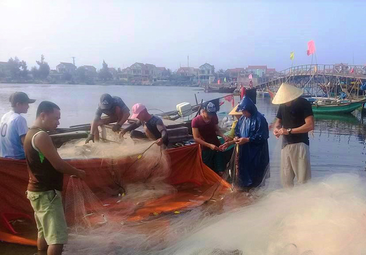  Quảng Bình tạo mọi điều kiện cho các chủ tàu có công suất lớn vươn khơi nhằm hạn chế đánh bắt vùng lộng.   