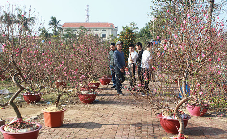 Ảnh: Tiến Hành