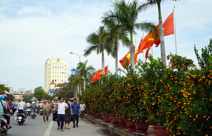 Hội hoa Xuân trên địa bàn TP. Đồng Hới tạo không khí vui tươi trong dịp Tết Nguyên đán Canh Tý 2020