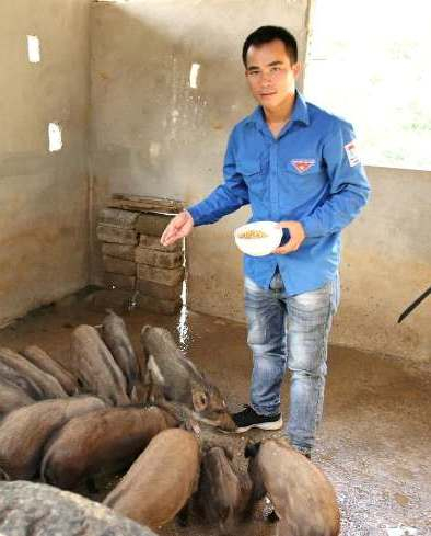 Với sức trẻ, cùng khát khao khởi nghiệp, nhiều thanh niên huyện Tuyên Hóa đã mạnh dạn đầu tư phát triển kinh tế. (Ảnh: X.Phú)