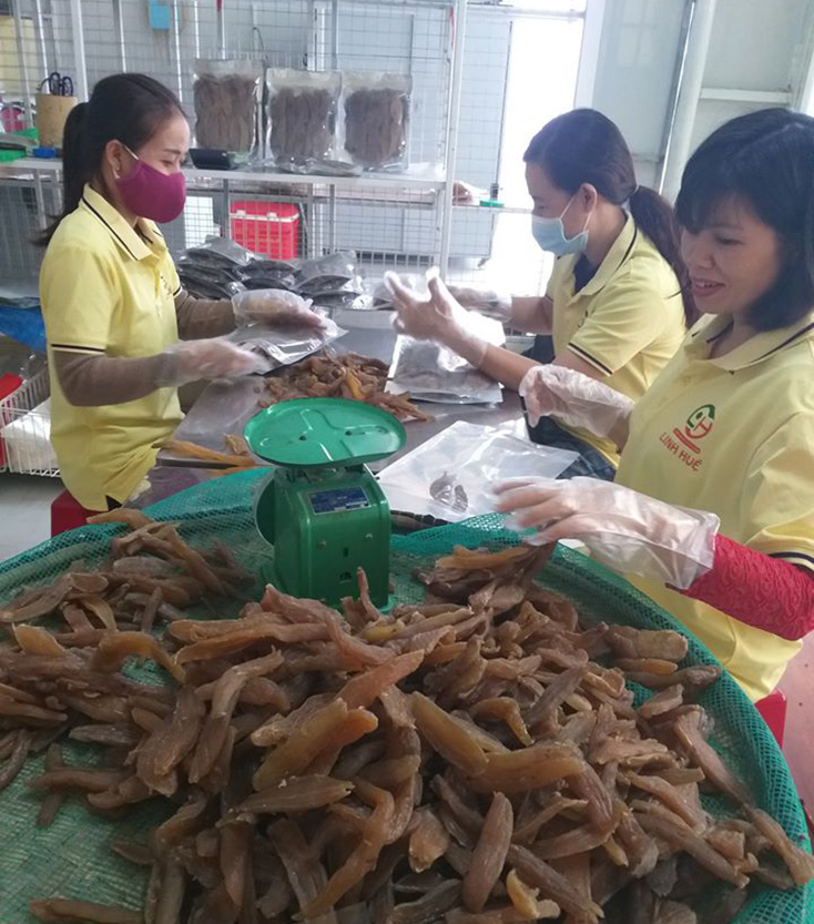 Công ty TNHH Linh Huệ luôn nỗ lực mang đến cho khách hàng sản phẩm khoai deo chất lượng cao. 