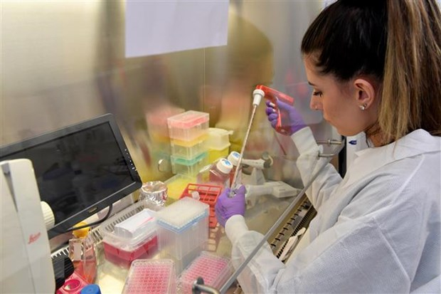 Một nhà khoa học nghiên cứu kháng thể chống virus gây dịch COVID-19 tại phòng thí nghiệm Viện nghiên cứu y học Rega ở Leuven, Bỉ ngày 28-2-2020. (Nguồn: AFP/TTXVN)
