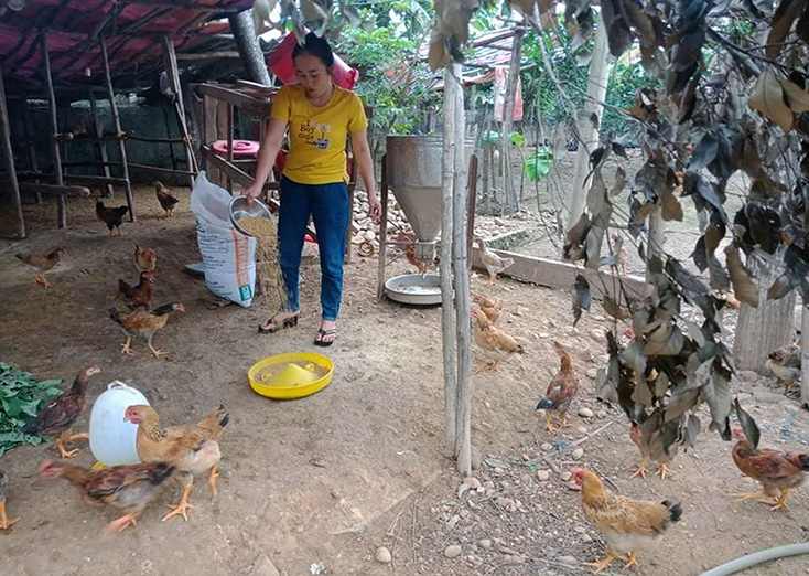 Từ nguồn vốn vay ưu đãi, chị Đoàn Thị Hương (xã Quảng Lưu) đã phát triển mô hình chăn nuôi đem lại thu nhập ổn định. 
