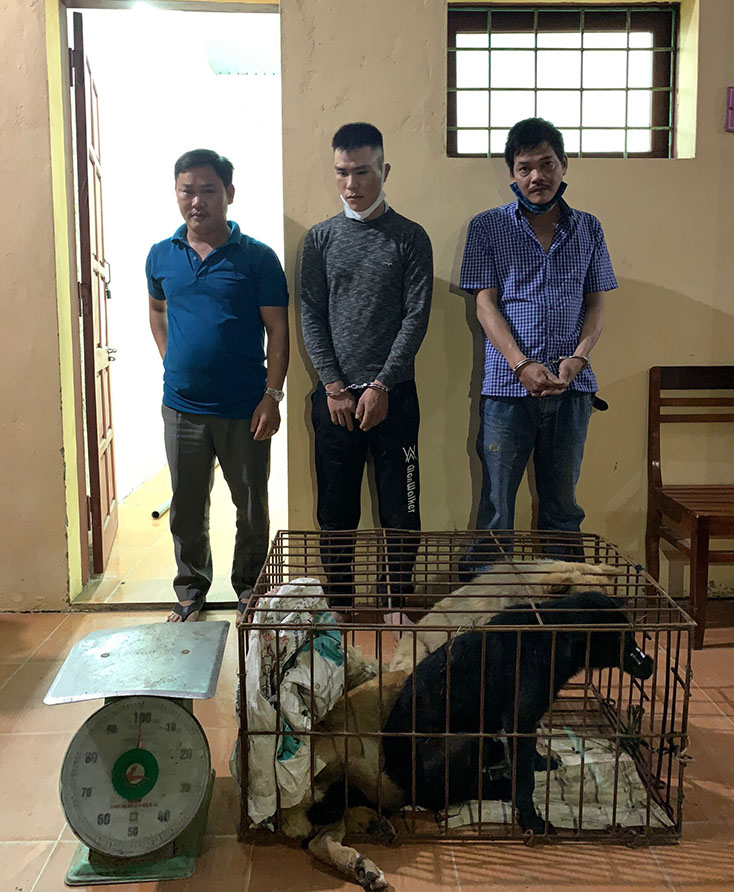Các đối tượng có liên quan trong vụ việc trộm chó và tiêu thụ chó gây bức xúc tại địa bàn