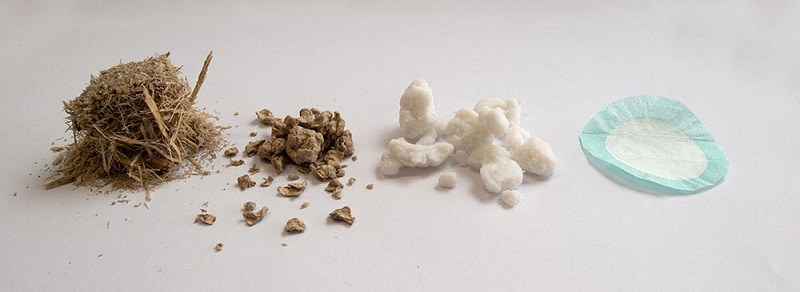    Từ bã mía đến vật liệu loại bỏ hạt nano mới. Ảnh: Đại học Công nghệ Queensland.
