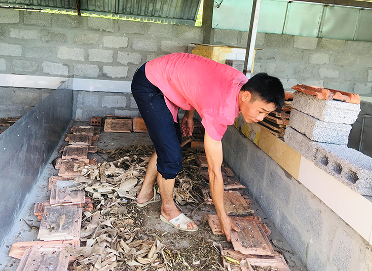 Nuôi rắn mối và dế là hướng đi mang lại hiệu quả kinh tế cao cho gia đình anh Nguyễn Văn Châu. 