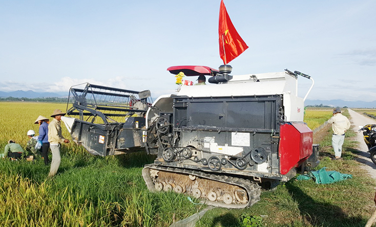 Nông dân HTX Xuân Bồ hồ hởi thu hoạch vụ lúa hè-thu do được mùa được giá. 