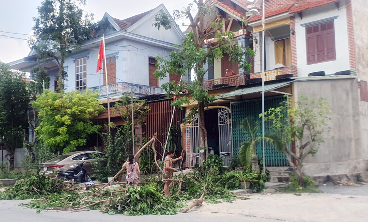 Người dân Tuyên Hóa chặt tỉa cây xanh phòng, chống bão