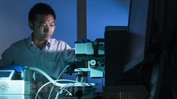 Tiến sỹ Nguyễn Trọng Hiếu hiện là giảng viên cao cấp tại Đại học Quốc gia Australia. (Ảnh do nhân vật cung cấp)