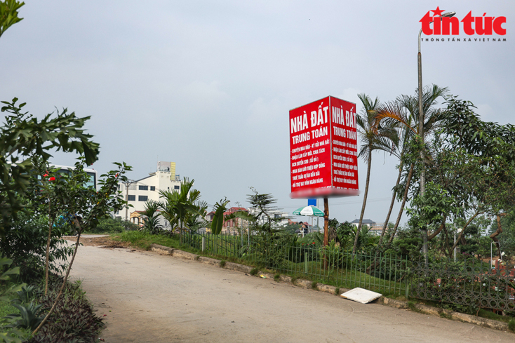 Văn phòng giao dịch bất động sản mọc lên khắp nơi, kể cả trên tuyến đường đê tại huyện Đông Anh, Hà Nội. Ảnh minh họa: Trung Nguyên/Báo Tin tức