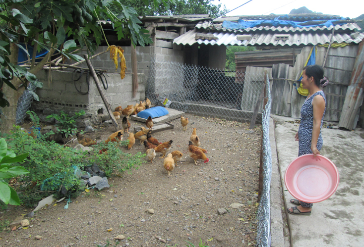 Các hội viên, phụ nữ huyện Lệ Thủy tích cực phát triển kinh tế để nâng cao thu nhập, cải thiện đời sống gia đình. (Ảnh: Đ.V)