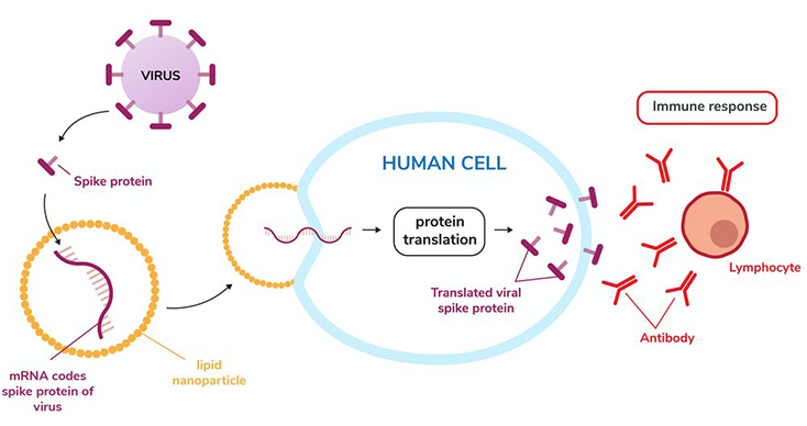 Tiêm vaccine công nghệ mRNA phòng COVID-19 tại Mỹ. Ảnh: DW