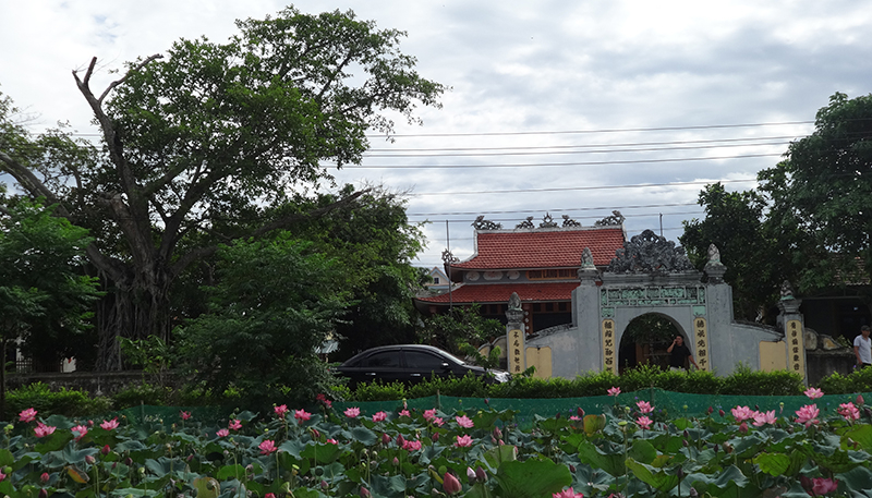 Ngôi đình và cây đa hơn 200 năm tuổi ở làng Mai Hạ, xã Xuân Thủy (Lệ Thủy).