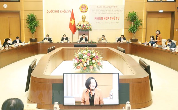  Toàn cảnh phiên họp. (Ảnh: Trọng Đức/TTXVN)