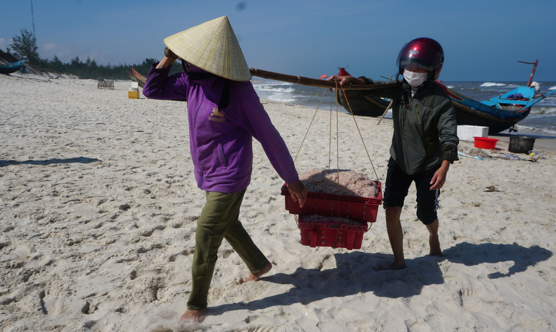 Gánh ruốc lên bờ.