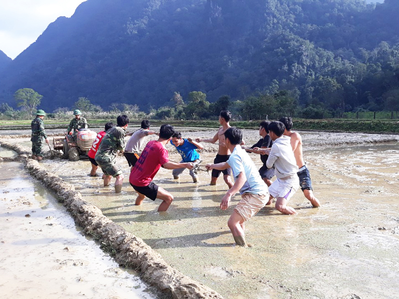 BĐBP tỉnh giúp bà con thực hiện mô hình sản xuất  lúa nước ở xã Thượng Hóa (Minh Hóa).