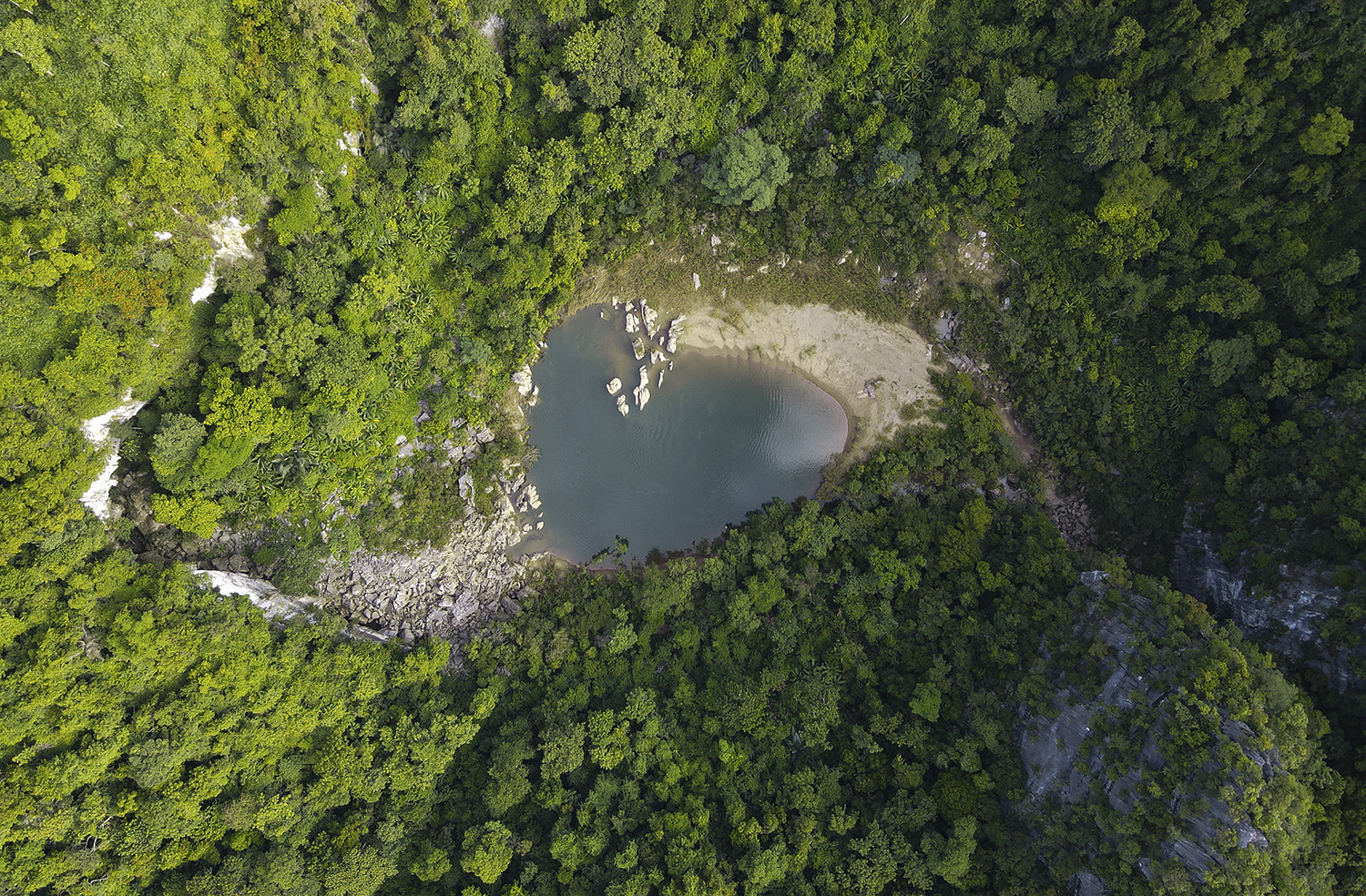 Tour Thám hiểm rừng sâu Hang Ba của Oxalis Adventure. Ảnh: Oxalis Adventure