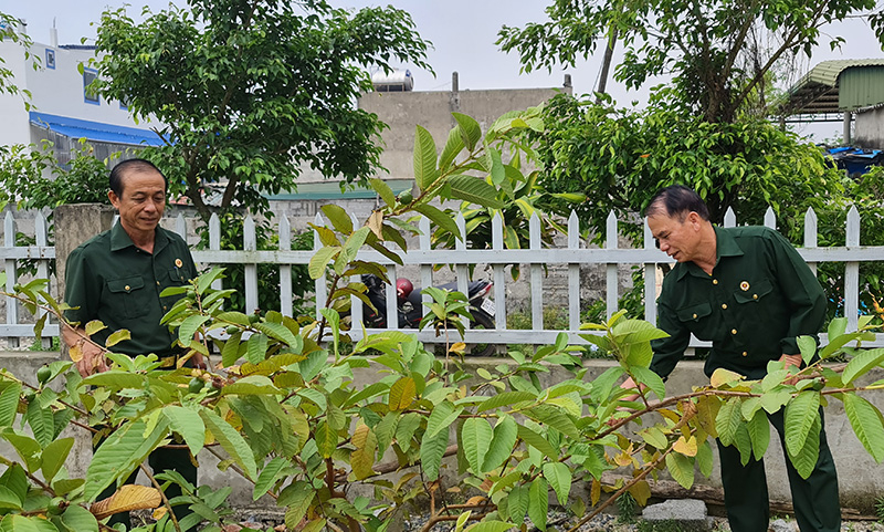 Chi hội trưởng Chi hội CCB thôn Cừa Thôn Nguyễn Hữu Táu (bên phải) đã có thâm niên hơn 30 năm làm công tác hội.