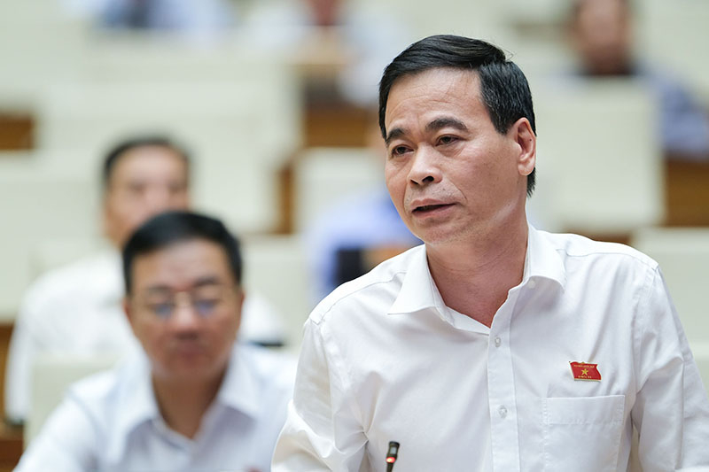 Đại biểu Nguyễn Mạnh Cường thảo luận tại hội nghị