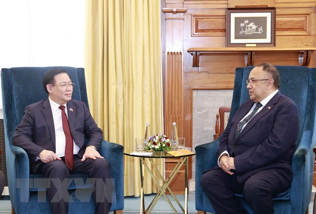 Chủ tịch Quốc hội Vương Đình Huệ hội đàm với Chủ tịch Quốc hội New Zealand Adrian Rurawhe. (Ảnh: Doãn Tấn/TTXVN)