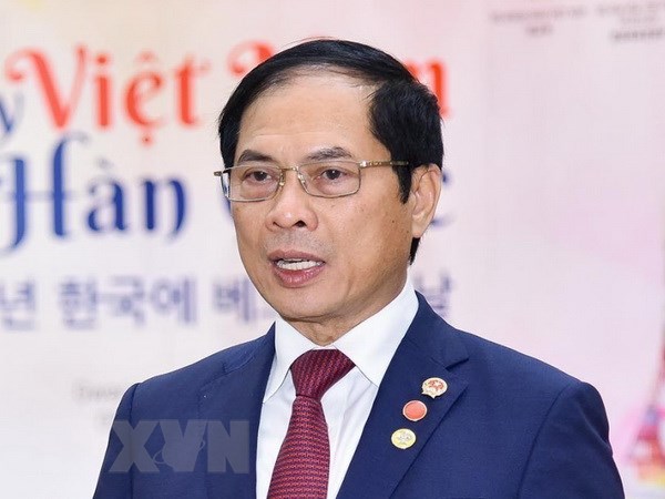 Bộ trưởng Ngoại giao Bùi Thanh Sơn. (Ảnh: TTXVN/phát)