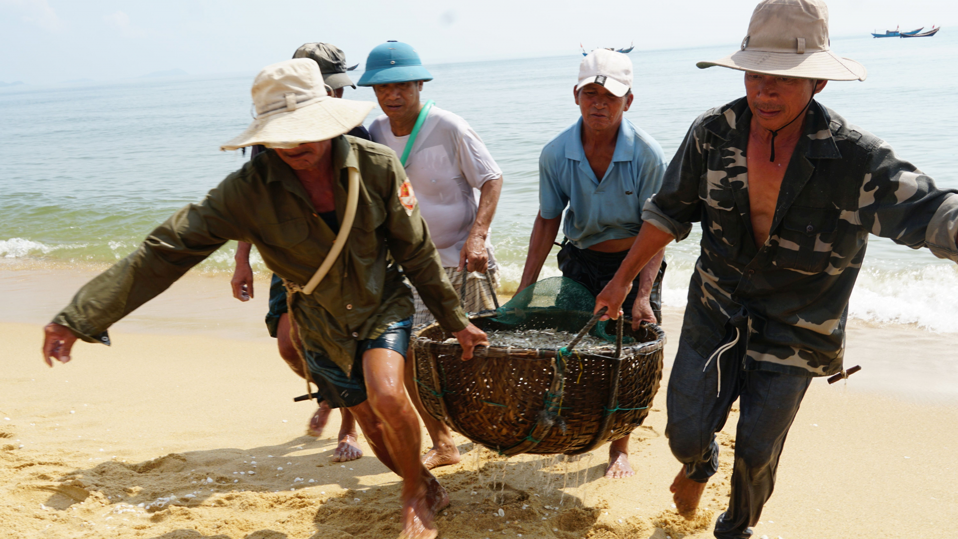 Ngư dân Thanh Bình trúng vụ cá cơm bằng nghề lưới “xăm trụ”.