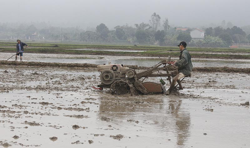 Nông dân Tuyên Hóa tập trung làm đất để xuống giống theo đúng lịch thời vụ.