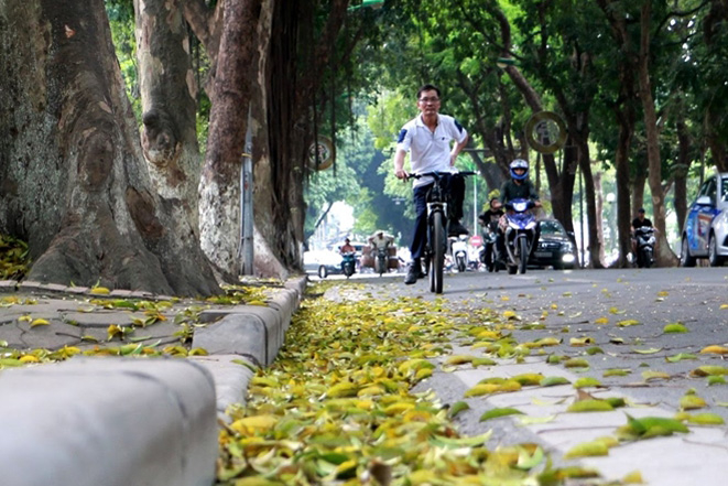 Ảnh minh họa: Lê Phú/Báo Tin tức