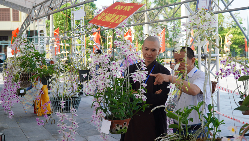 Ban giám khảo chấm thi.