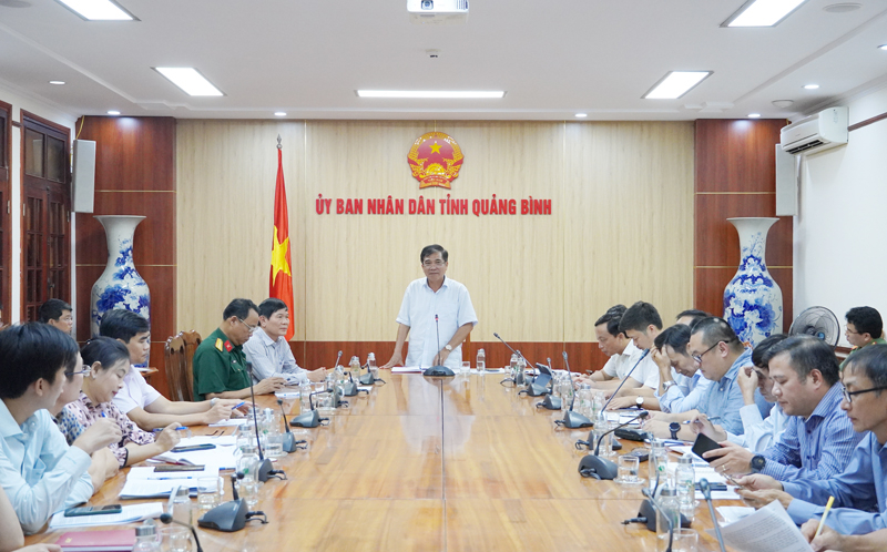 Đồng chí Phó Chủ tịch thường trực UBND tỉnh Đoàn Ngọc Lâm phát biểu tại cuộc họp.