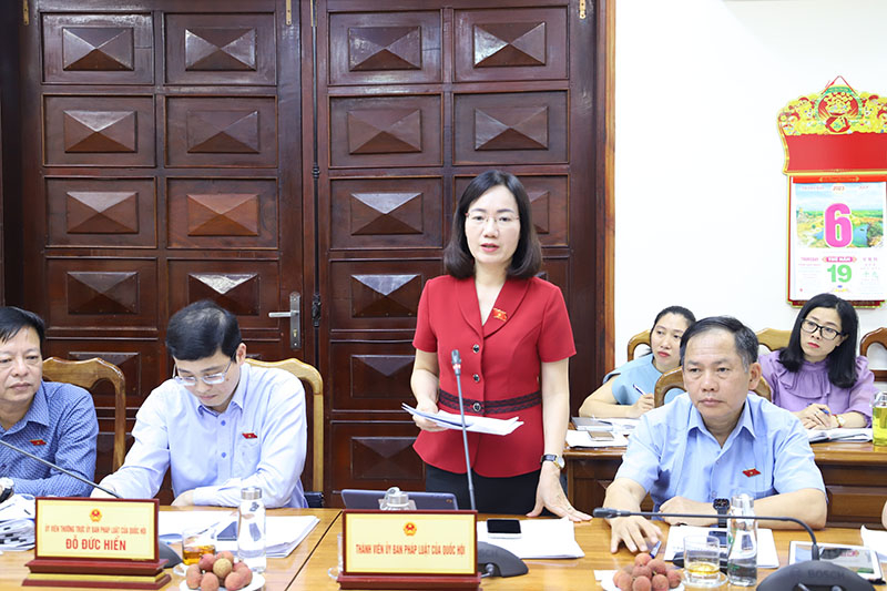 Các đại biểu tham gia ý kiến