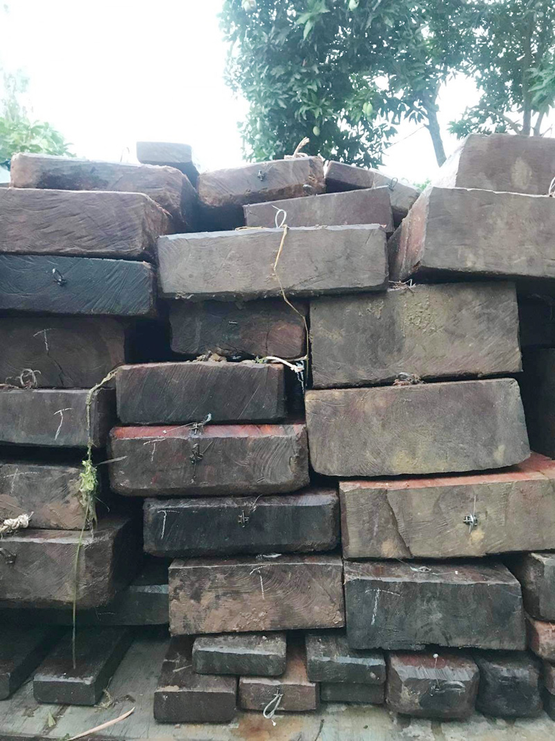 Gỗ tịch thu được từ 1 vụ phá rừng trái phép trên địa bàn huyện Quảng Ninh.