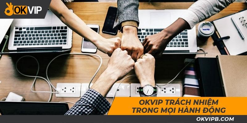 Đôi nét về tập đoàn OKVIP.