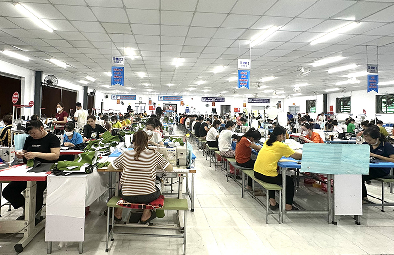Sản phẩm công nghiệp may mặc giảm 17,5% so với cùng kỳ năm 2022.