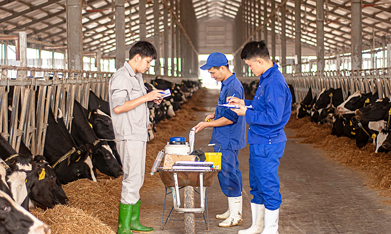Kiểm tra an toàn thực phẩm tại chuồng trại.