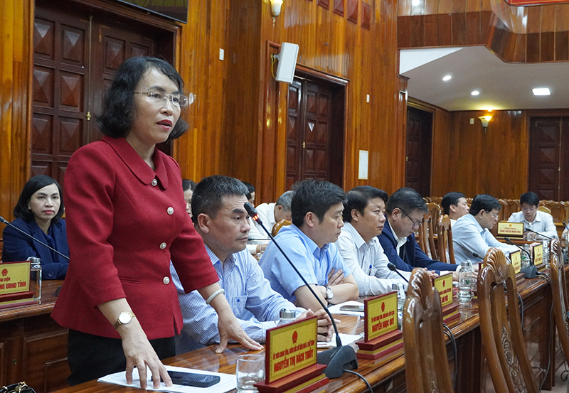 Lãnh đạo Sở Văn hóa-Thể thao báo cáo việc triển khai các hoạt động văn hóa, văn nghệ, thể thao mừng Đảng-mừng Xuân.