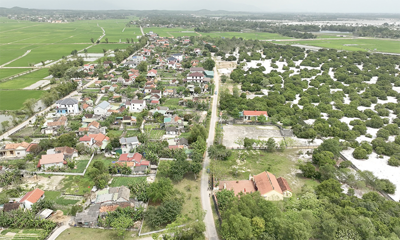 Làng Đông Dương nhìn từ trên cao.