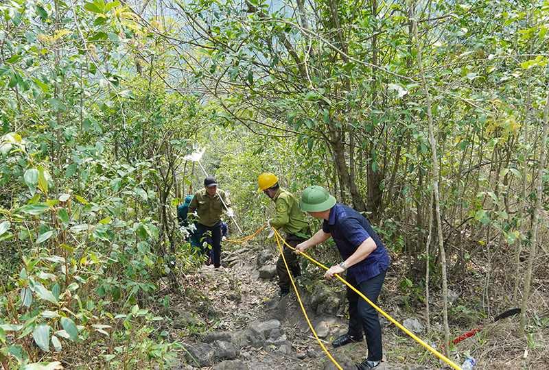 Khẩn trương triển khai phương tiện chữa cháy.