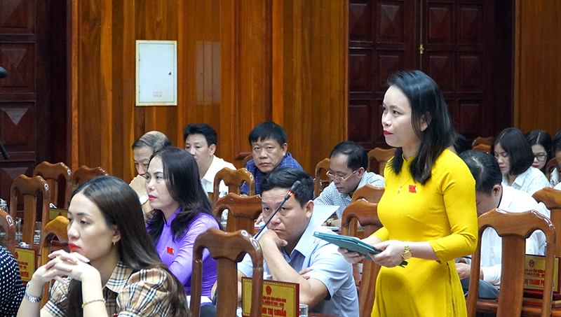 Đại biểu Đinh Thị Chuẩn chất vấn