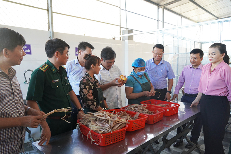 Các đồng chí trong Ban Chỉ đạo công tác biên giới tỉnh thăm mô hình kinh tế biển ở xã Đức Trạch (Bố Trạch).