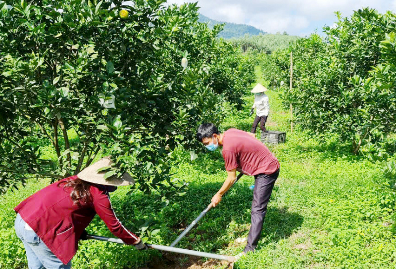 Sáp nhập giữa hai ngành sẽ phát huy hiệu quả các mô hình kinh tế nông thôn gắn với bảo vệ môi trường bền vững.