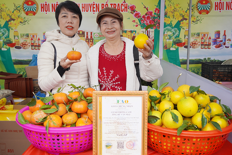 Nhiều mặt hàng trái cây tươi ngon.