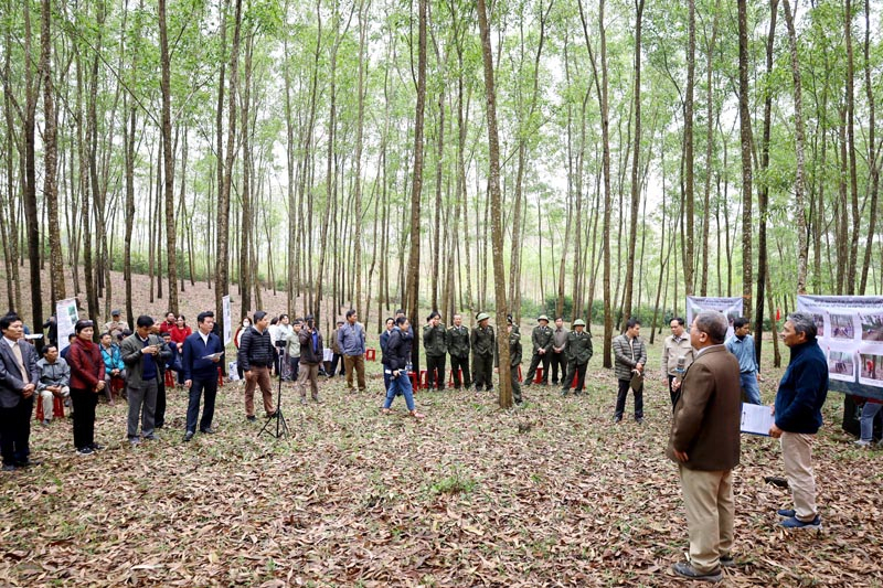 TNV chia sẻ kinh nghiệm cùng các đại biểu tham dự tại hội nghị đầu bờ chuyển hóa rừng trồng keo gỗ lớn