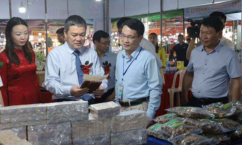 Các đại biểu tham quan gian hàng tại hội chợ.